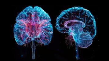 A comparison between a normal brain and a brain with reduced levels of growth factors highlighting the implications on neurodevelopment photo