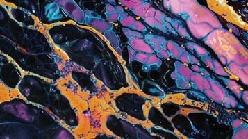 Thin sections of brain tissue showing the distinct bands of myelin sheath surrounding axons photo
