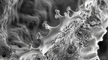 Scanning electron microscope image of a of cells demonstrating the ubiquitous presence of the NaK ATPase and its essential function in all living systems photo