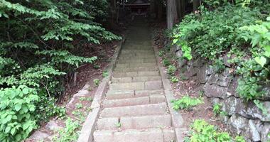 A stone stairs near Japanese old shrine at the countryside in Gunma Japan tilt up video