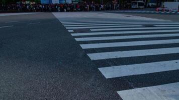 A timelapse of people at the crossing in Shibuya Tokyo daytime slow shutter zoom video