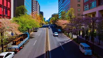 une laps de temps de le Cerise rue à yasukuni rue dans tokyo large coup panoramique video