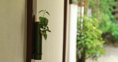 bambou vase à Japonais jardin à hokokuji dans Kamakura ordinateur de poche video