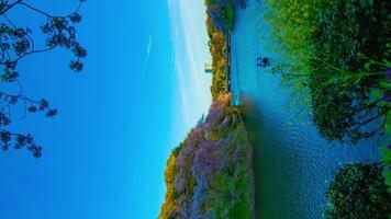 A sunset timelapse of Chidorigafuchi pond with cherry trees in Tokyo in spring vertical shot video