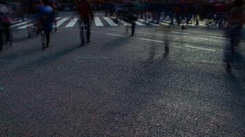 A timelapse of people at the crossing in Shibuya Tokyo daytime slow shutter zoom video