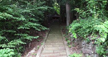 ein Stein Treppe in der Nähe von japanisch alt Schrein beim das Landschaft im gunma Japan video