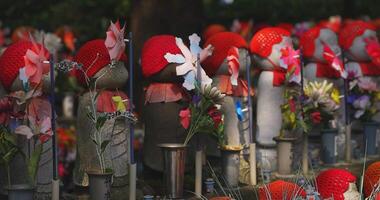 statua custode indossare rosso cappello giorno palmare video