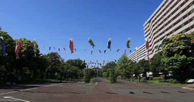 karper wimpel Bij de park in tokyo dag zonnig video