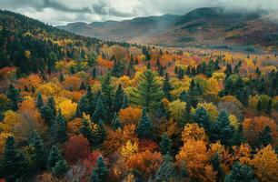 Aerial View of Forested Mountain Valley During Autumn in Quebec photo