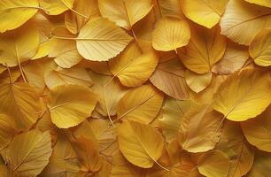 cerca arriba de dorado otoño hojas en el bosque piso foto