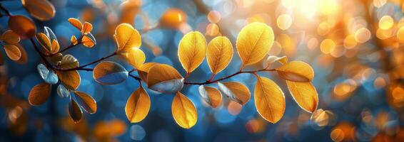 Golden Autumn Leaves Against A Blue Sky With Sunlit Bokeh photo