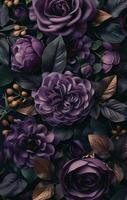 Close Up of Purple and Red Roses in Full Bloom photo