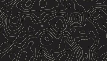 abstract pattern with lines. background of the topographic map. elevation contouring outline cartography texture. geographic abstract grid. futuristic wireframe lands. black and white seamless pattern vector