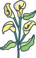 Calla lily linear color illustration vector
