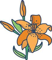 tiger lily flower linear color illustration vector