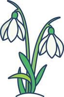 Snowdrop flower linear color illustration vector