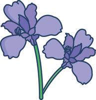 Iris flower linear color illustration vector