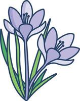 Crocus flower linear color illustration vector