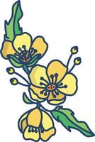 buttercup flower linear color illustration vector