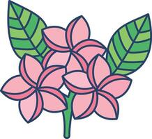Frangipani flower linear color illustration vector