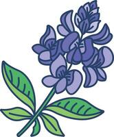 Bluebonnet flower linear color illustration vector