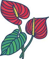 Anthurium flower linear color illustration vector
