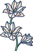 magnolia flower linear color illustration vector