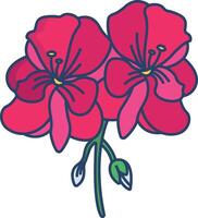 Geranium flower linear color illustration vector