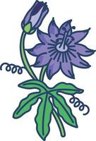Passion flower linear color illustration vector