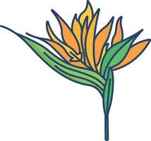 Strelitzia flower linear color illustration vector