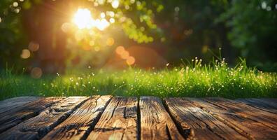Sunlight Filtering Through Trees on Wooden Deck photo
