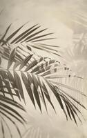 Palm Tree With Green Leaves photo