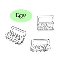 Hand-drawn Eggs in carton pack. Set of eggs in a pack in doodle style isolated on white background. vector
