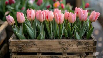 de madera caja lleno con rosado tulipanes en mesa foto