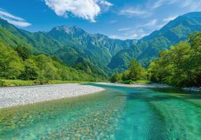 River Flowing Through Lush Green Forest photo