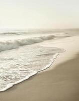 Black and White Beach Scene photo