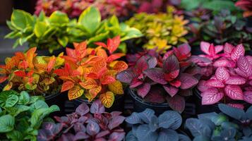 haz de flores colgando en pared foto
