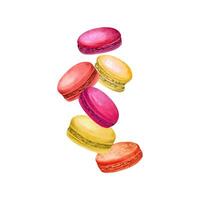 Berry flavored macaroons levitation. Red, yellow, orange macaron in motion falling or flying. Sweet dessert. Raspberry, sea buckthorn, cranberry. Watercolor illustration for package, menu, recipe. vector