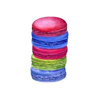 Traditional French macarons. Colorful Almond cookies, macaroon cake. Blue, green and red sweet dessert. Watercolor illustration. For package, menu, recipe, label, holiday vector
