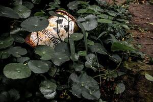 Industrial waste Radioactive material container left behind in the weeds photo