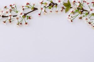 Beautiful Words on White Paper A Timeless Expression of Elegance and Simplicity Captured in Clean Lines and Crisp Edges, Offering a Pure and Classic Canvas for Thoughts and Creativity to Flourish photo