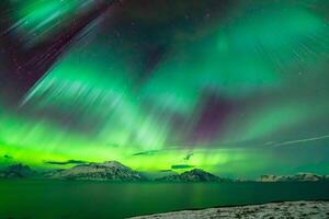 hermosa Aurora de la naturaleza deslumbrante ligero espectáculo pinturas el noche cielo con magnífico colores, fascinante público en todo el mundo en temor foto