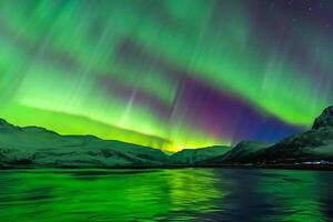 hermosa Aurora de la naturaleza deslumbrante ligero espectáculo pinturas el noche cielo con magnífico colores, fascinante público en todo el mundo en temor foto