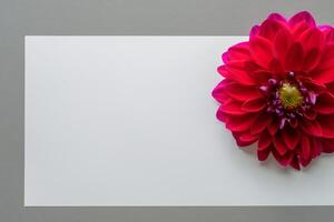 Beautiful Red Flower on White Background Mockup Capturing the Timeless Elegance of Floral Simplicity photo
