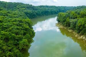 asombroso paisaje un hermosa río fluye mediante encantador aire y lozano árboles, creando un sereno y pintoresco natural refugio para todas a disfrutar foto