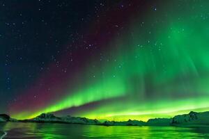 hermosa Aurora de la naturaleza deslumbrante ligero espectáculo pinturas el noche cielo con magnífico colores, fascinante público en todo el mundo en temor foto