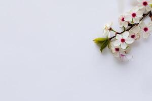 Beautiful Words on White Paper A Timeless Expression of Elegance and Simplicity Captured in Clean Lines and Crisp Edges, Offering a Pure and Classic Canvas for Thoughts and Creativity to Flourish photo