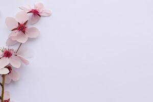 Beautiful Words on White Paper A Timeless Expression of Elegance and Simplicity Captured in Clean Lines and Crisp Edges, Offering a Pure and Classic Canvas for Thoughts and Creativity to Flourish photo