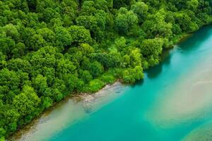 asombroso paisaje un hermosa río fluye mediante encantador aire y lozano árboles, creando un sereno y pintoresco natural refugio para todas a disfrutar foto