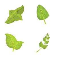 Green basil icons set cartoon . Basil stem with leaf vector